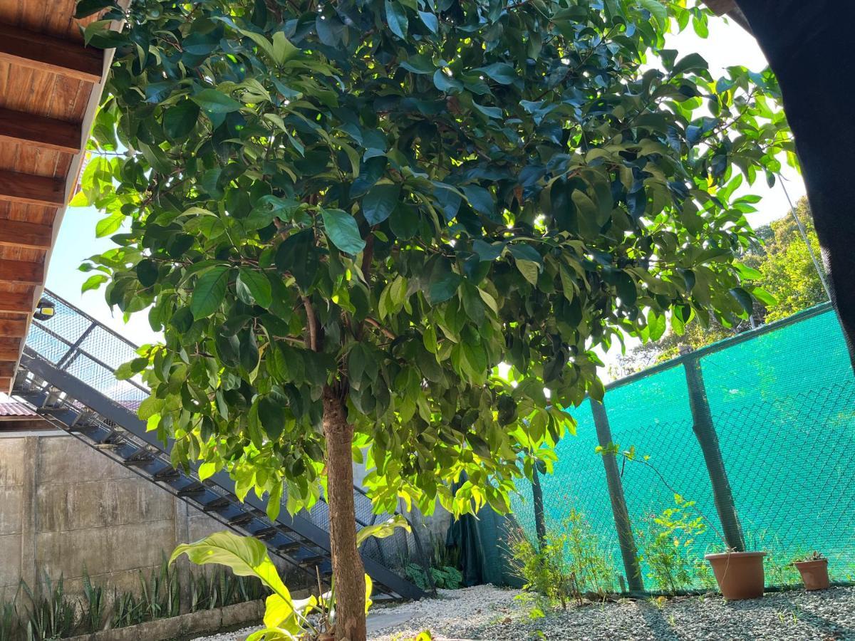 Apartamento Mango y Café Lagunilla  Esterno foto